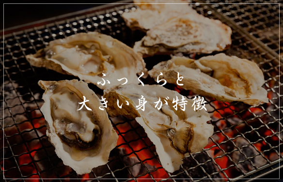 ふっくらと大きい身が当店の自慢